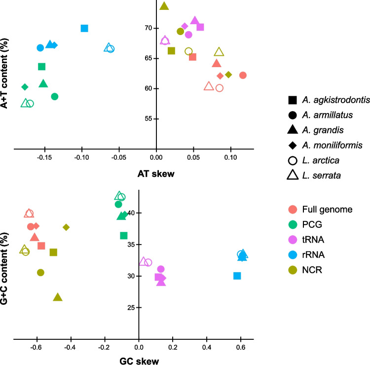 First complete mitochondrial genome of Armillifer moniliformis (Pentastomida: Porocephalida) isolated from a human case in Northern Thailand: comparative and phylogenetic analyses.