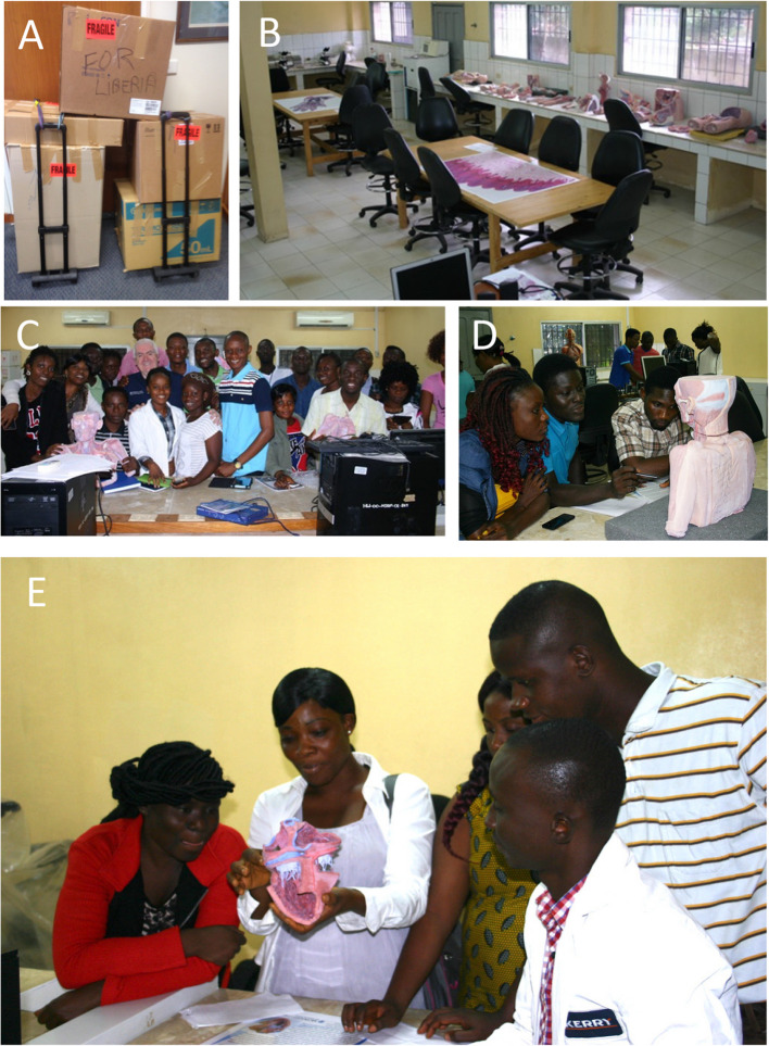 Challenges of access to cadavers in low- and middle-income countries (LMIC) for undergraduate medical teaching: a review and potential solutions in the form of 3D printed replicas.