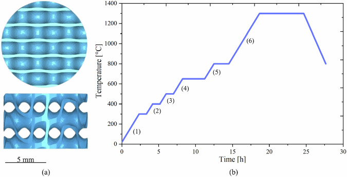 Obtaining biocompatible ceramic scaffolds of calcium phosphates through ceramic stereolithography