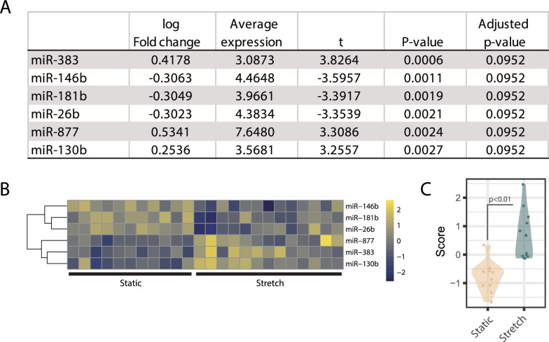 Prediction of lung overdistension during mechanical ventilation using micro-RNA and gene expression.