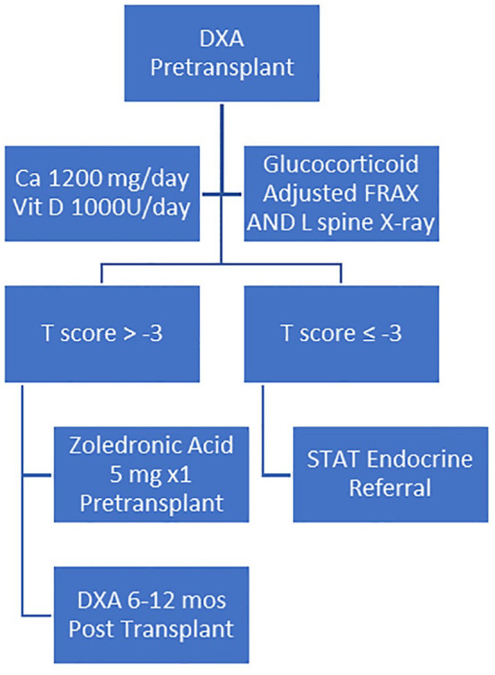 Treatment of osteoporosis in the solid organ transplant recipient: an organ-based approach.