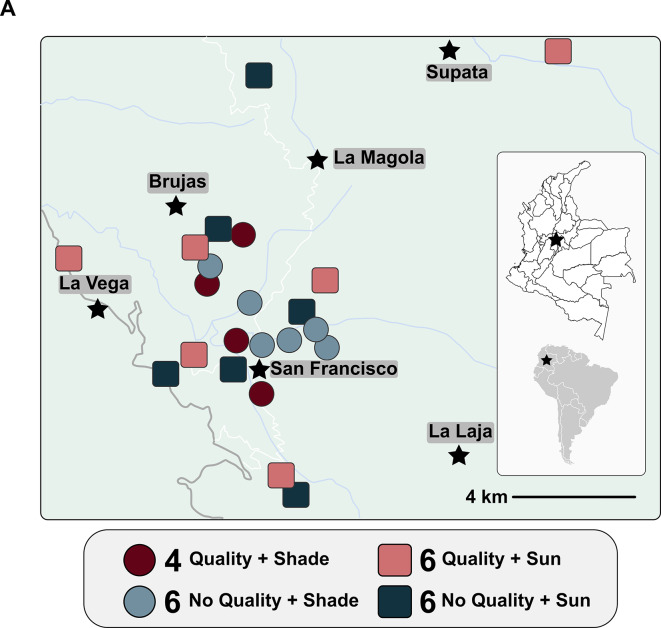 Soil and cherry bacterial communities predict flavor on coffee farms.