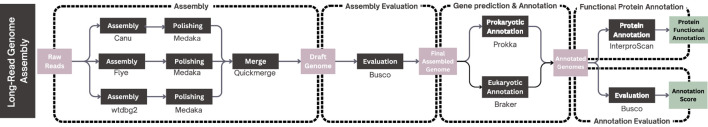 Long-read microbial genome assembly, gene prediction and functional annotation: a service of the MIRRI ERIC Italian node.