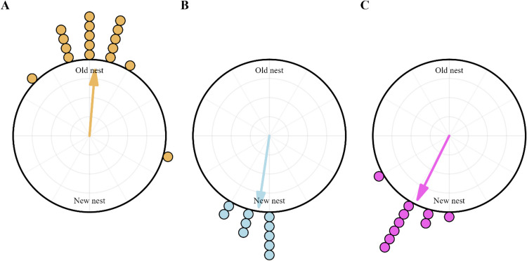 Route learning and transport of resources during colony relocation in Australian desert ants.