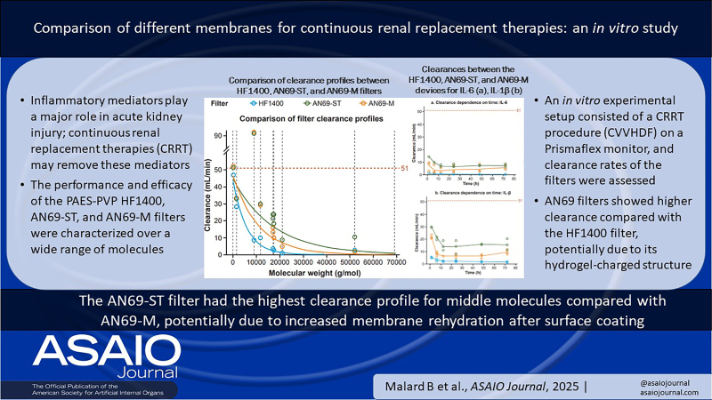 Comparison of Different Membranes for Continuous Renal Replacement Therapies: An In Vitro Study.