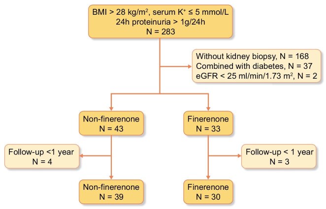 Efficacy and safety of finerenone in obesity-related glomerulopathy.