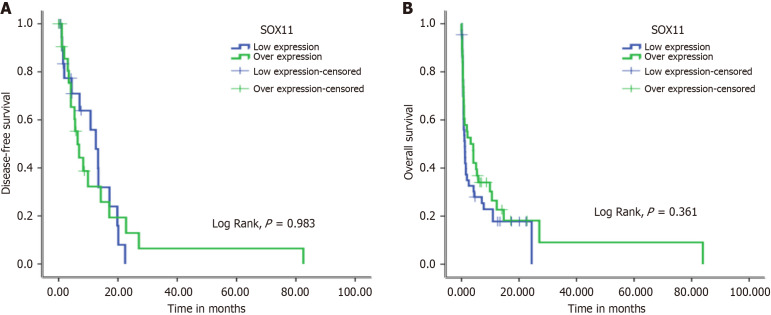 Clinical significance of the transcription factor (SOX11) expression in the bone marrow of acute myeloid leukemia patients.