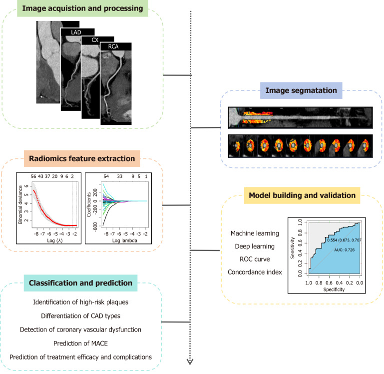 Computed tomography-based assessment of pericoronary adipose tissue in cardiovascular diseases: Diagnostic and prognostic implications.