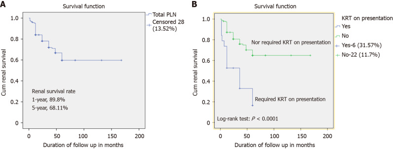 Clinicopathological characteristics and long-term outcomes of adult patients with proliferative lupus nephritis.