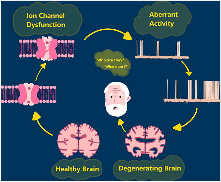 Role of Ion Channels in Alzheimer's Disease Pathophysiology.