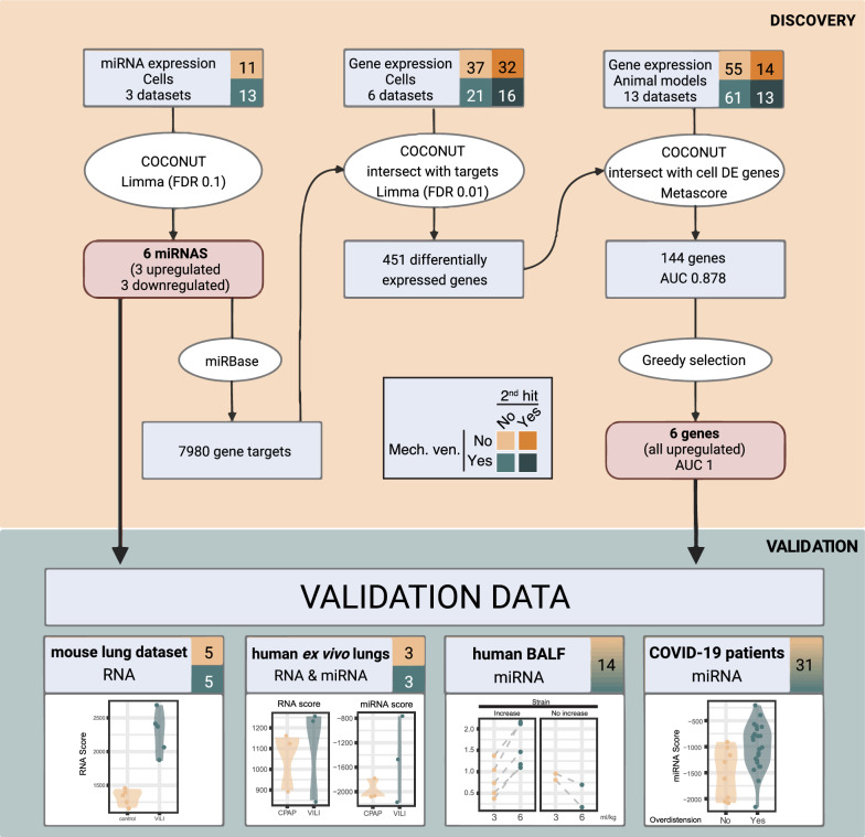 Prediction of lung overdistension during mechanical ventilation using micro-RNA and gene expression.