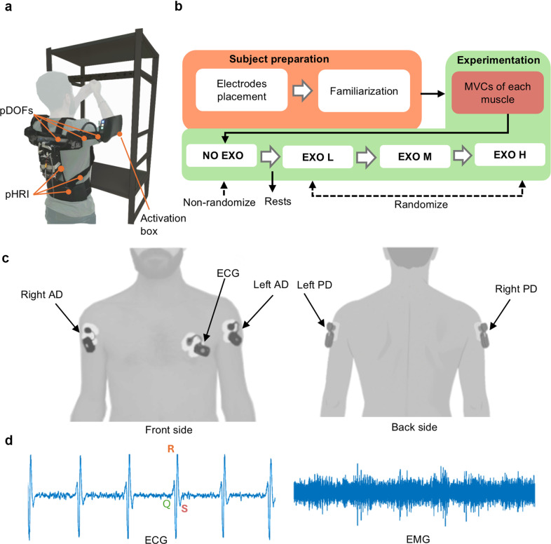 Evaluation of fatigue progression during overhead tasks and the effects of exoskeleton assistance.