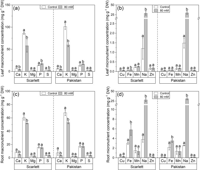 Sodium chloride enhances suberization in seminal roots but does not affect cutinized leaf barriers in cultivated and wild barley.