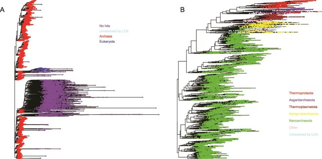 KSGP 3.1: improved taxonomic annotation of Archaea communities using LotuS2, the genome taxonomy database and RNAseq data.