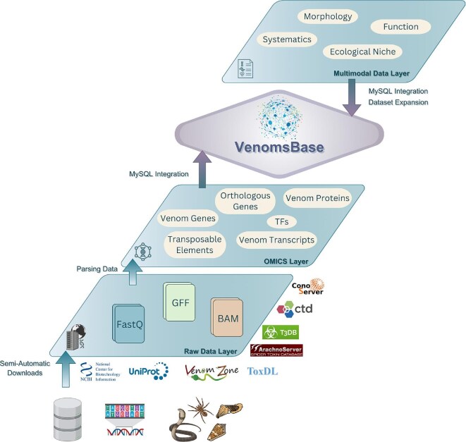 A Vision for VenomsBase: An Integrated Knowledgebase for the Study of Venoms and Their Applications.