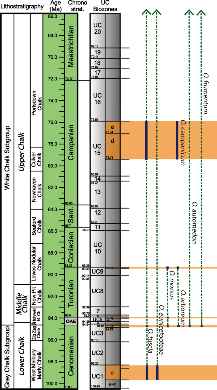Correction: The evolution of bone-eating worm diversity in the Upper Cretaceous Chalk Group of the United Kingdom.