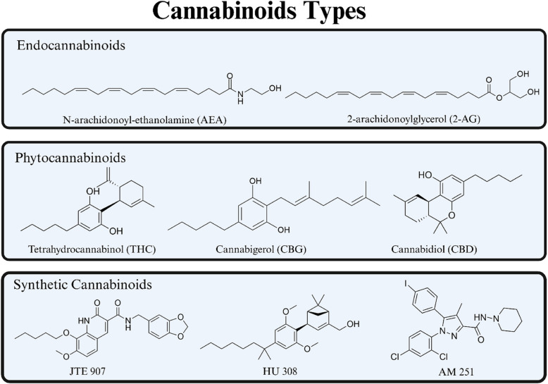 Revealing the therapeutic potential of synthetic cannabinoids: a systematic review of cannabinoid receptor binding dynamics and their implications for cancer therapy.