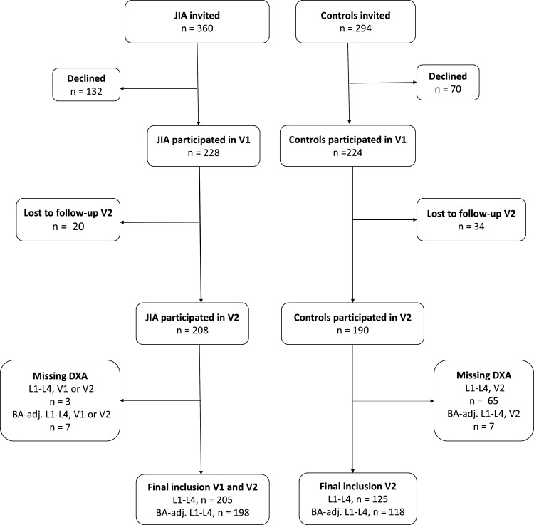 Bone health in juvenile idiopathic arthritis compared with controls based on a Norwegian observational study.