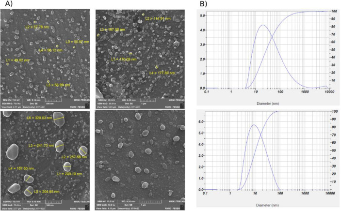 Anticancer Effects of <i>Escherichia Coli</i>-Derived Outer Membrane Vesicles against Colorectal Cancer Cells through Regulation of Apoptosis.