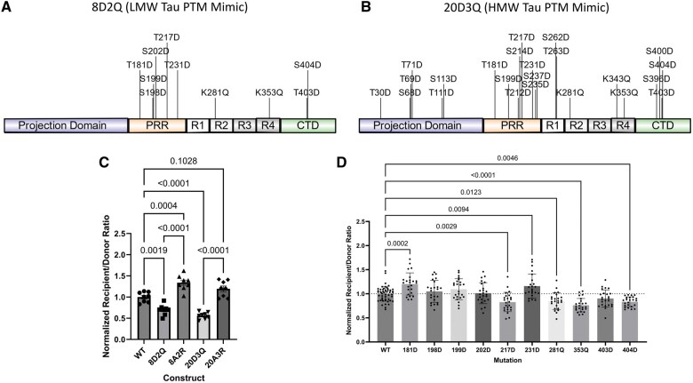 Alzheimer disease-associated tau post-translational modification mimics impact tau propagation and uptake.