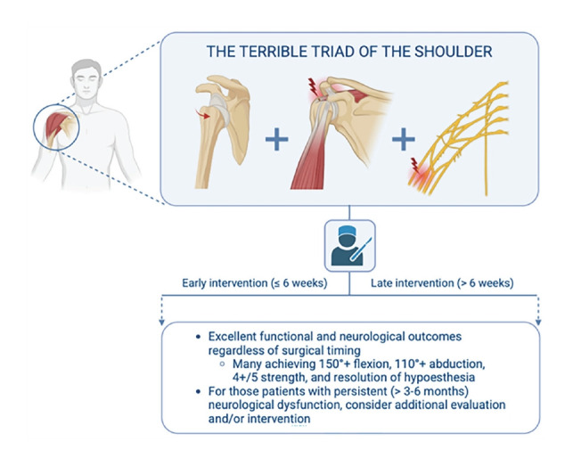 Timing of surgery for terrible triad of the shoulder: a systematic review.