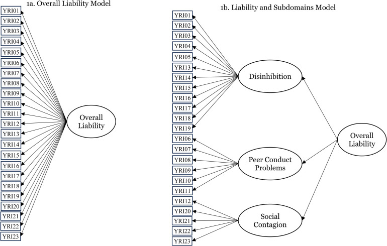 The Youth Risk Index: psychometrics, predicting the initiation of early adolescent substance use, and the breadth of liability detected.