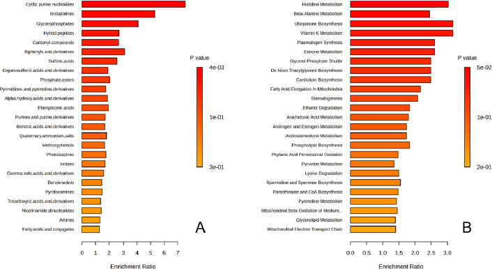 Metabolic insights into the warfarin-mango interaction: A pilot study integrating clinical observations and metabolomics.