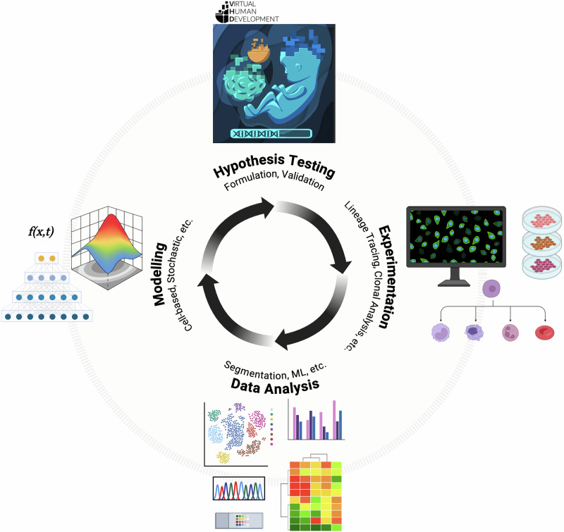 Next generation lineage tracing and its applications to unravel development.