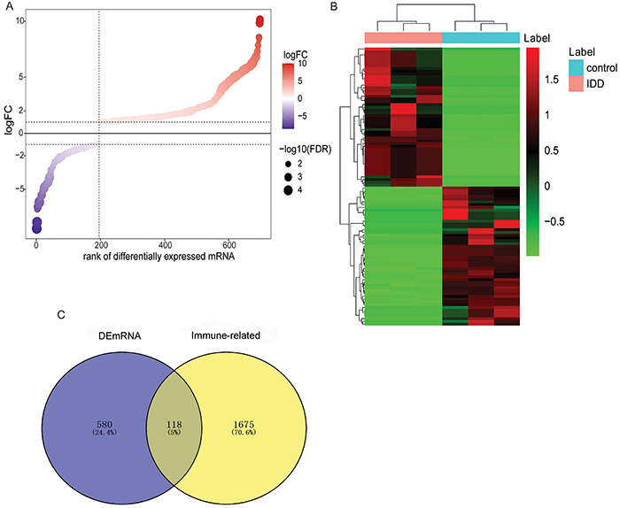 Unveiling immune mechanisms and potential biomarkers in intervertebral disc degeneration through integrated analysis.