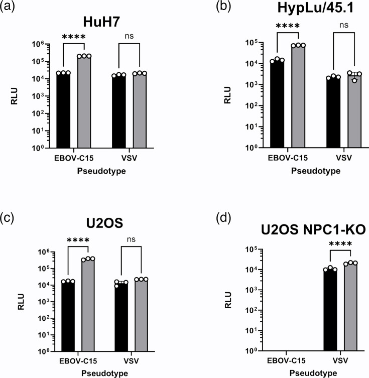 <i>Wisteria floribunda</i> agglutinin enhances <i>Zaire ebolavirus</i> entry through interactions at specific <i>N</i>-linked glycosylation sites on the virus glycoprotein complex.