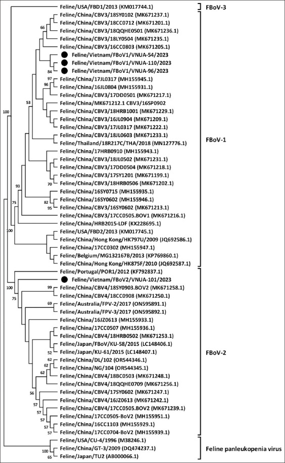Co-circulation and genetic characterization of genotype I and II feline bocavirus strains in domestic cats from Northern Vietnam.