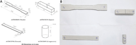 Optimization and biocompatibility analyses of fused filament fabrication-printed polylactic acid-silicon nitride scaffolds with enhanced mechanical properties.