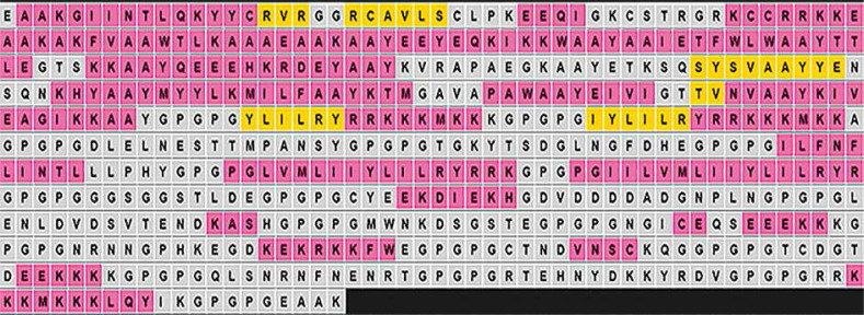 Search continues: Exploring immunoinformatics platforms for designing an effective multiepitope malaria vaccine candidate.