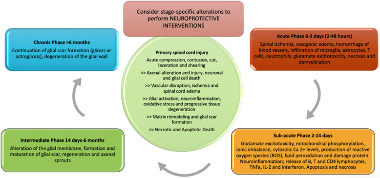 Perioperative management in acute and chronic spinal cord injury, narrative review.