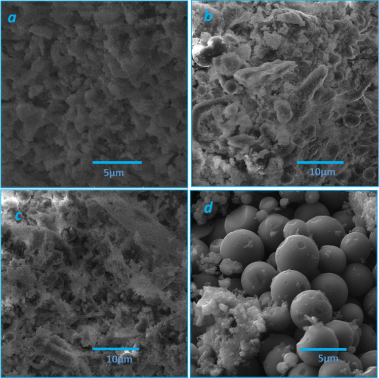 A comparative study of different activation methods for hydrochar: surface properties and removal of pharmaceutical pollutant in water.