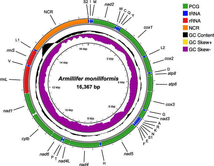 First complete mitochondrial genome of Armillifer moniliformis (Pentastomida: Porocephalida) isolated from a human case in Northern Thailand: comparative and phylogenetic analyses.