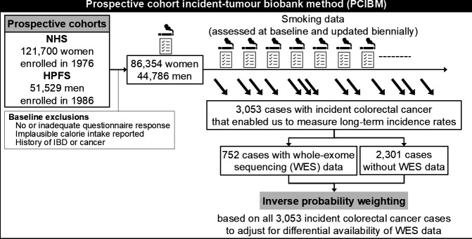 Smoking habit and long-term colorectal cancer incidence by exome-wide mutational and neoantigen loads: evidence based on the prospective cohort incident-tumour biobank method.