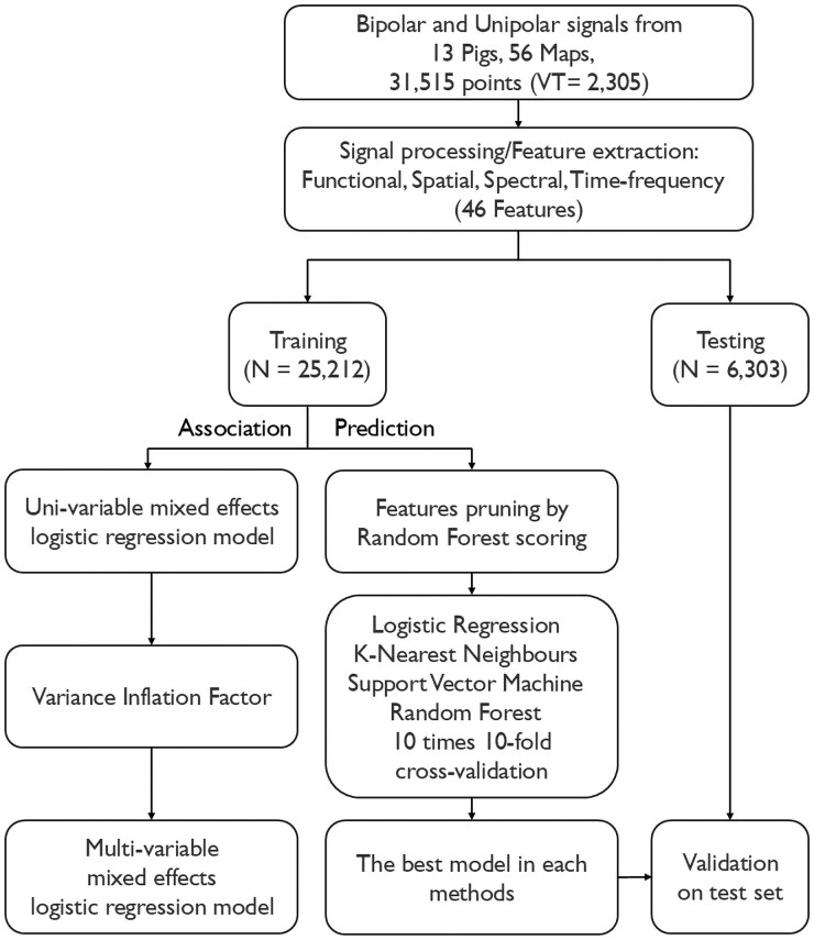 Machine learning approach for automated localization of ventricular tachycardia ablation targets from substrate maps: development and validation in a porcine model.