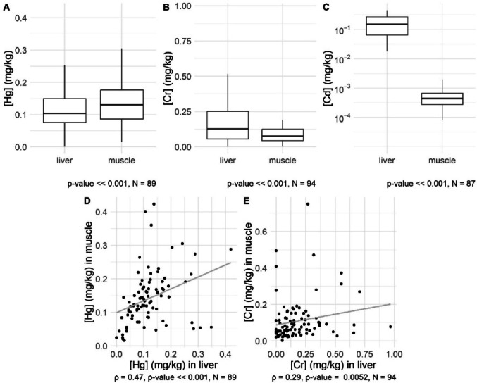Heavy Metal Accumulation in Freshwater Fish: The Role of Species, Age, Gender, and Parasites.