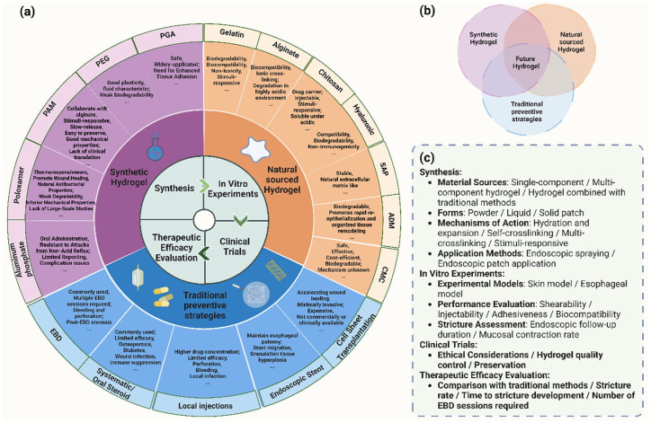 Hydrogels for preventing post-endoscopic submucosal dissection stenosis in early esophageal cancer: a comprehensive literature review.