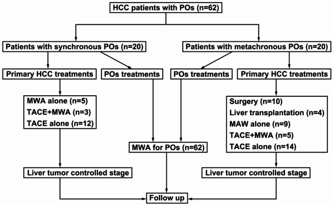 Thermal ablation for pulmonary oligometastases from hepatocellular carcinoma: initial experience and retrospective study.