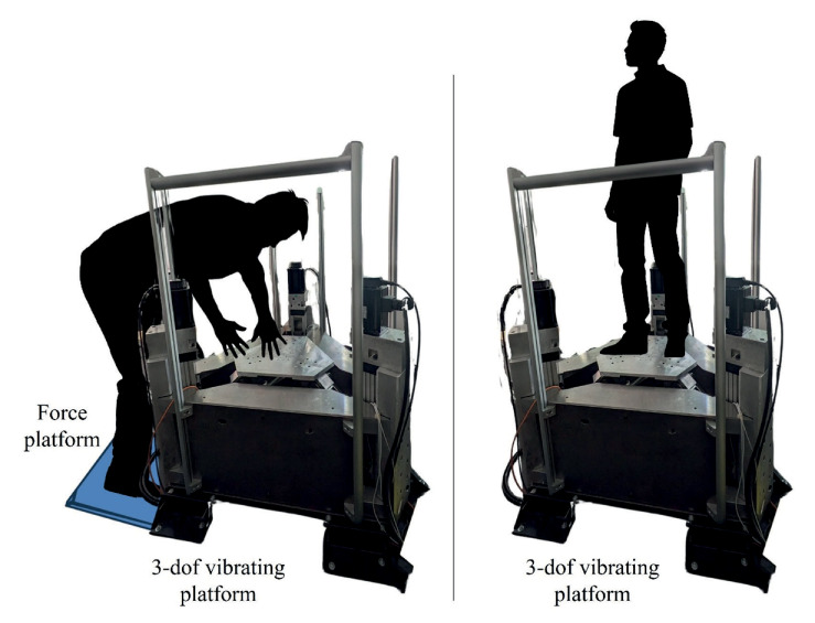 Neurosensory Response of the Hand and Foot to Vibration Exposure.