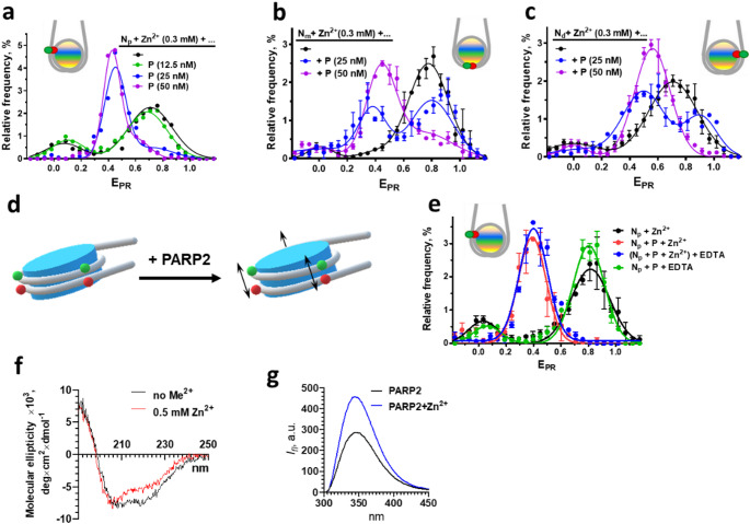 Poly(ADP-ribose)polymerase 2 is zinc-dependent enzyme and nucleosome reorganizer.