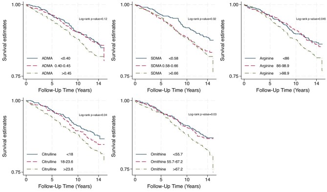 Asymmetric dimethylarginine and citrulline are risk factors for cardiovascular disease independently of both estimated and measured GFR.
