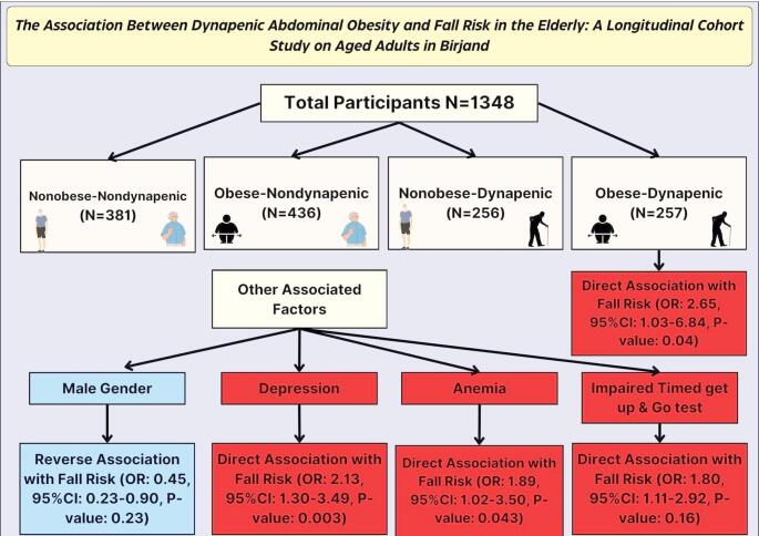 Association between Dynapenic abdominal obesity and fall risk among older adults: a longitudinal study in Birjand.