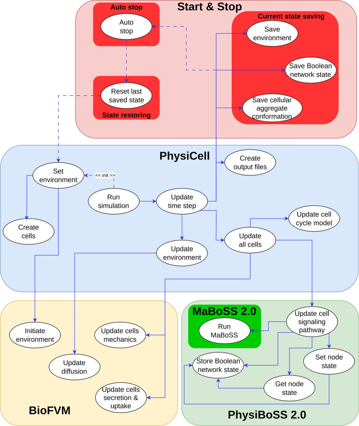 Start & Stop: a PhysiCell and PhysiBoSS 2.0 add-on for interactive simulation control.