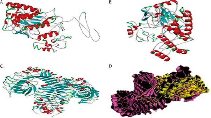 Search continues: Exploring immunoinformatics platforms for designing an effective multiepitope malaria vaccine candidate.