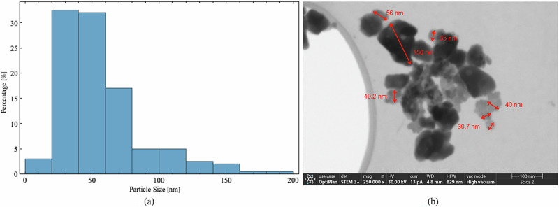 Obtaining biocompatible ceramic scaffolds of calcium phosphates through ceramic stereolithography