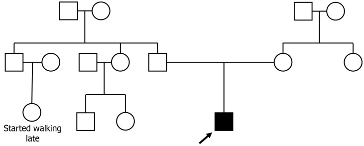 miRNA dysregulation in Duchenne muscular dystrophy comorbidities.
