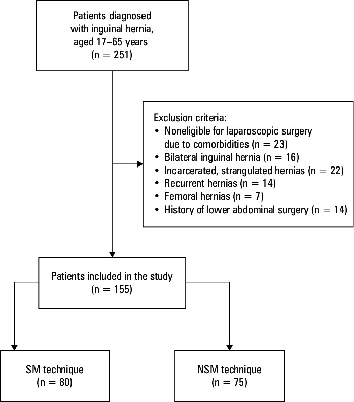 Slit mesh technique in laparoscopic inguinal hernia repair: a retrospective analysis.